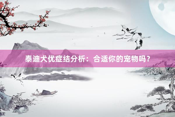 泰迪犬优症结分析：合适你的宠物吗？